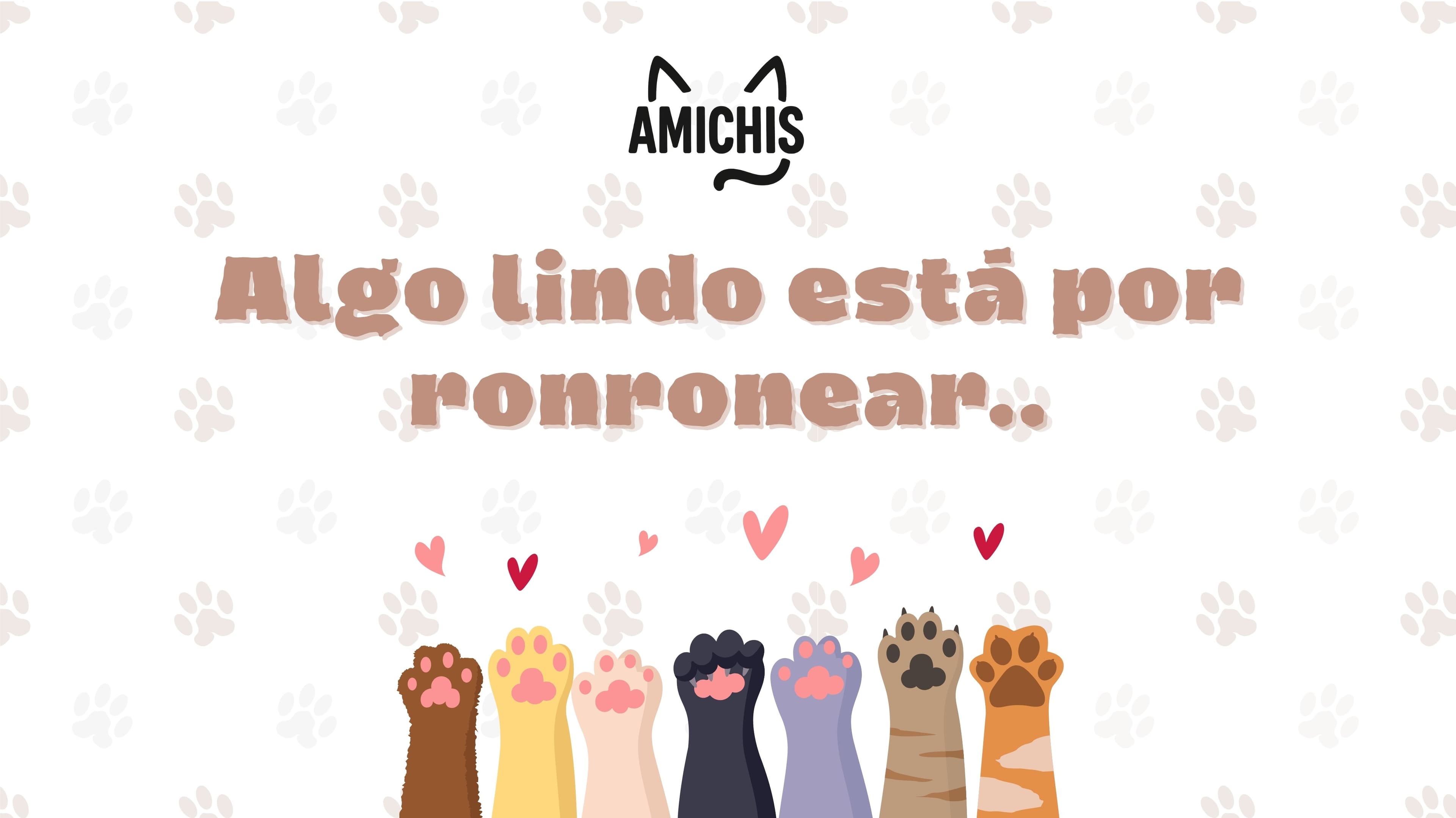 Amichis - Algo lindo está por ronronear...